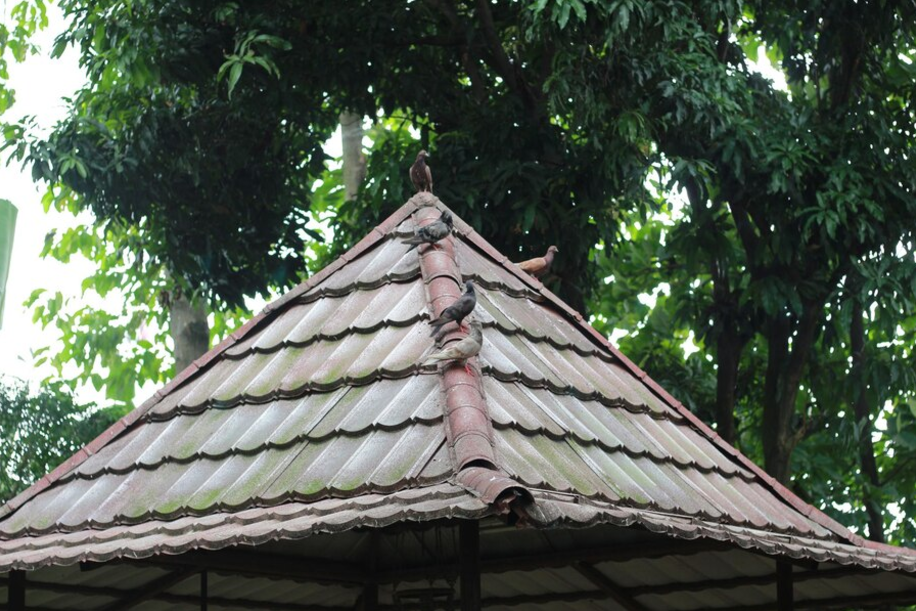 Hip Roof