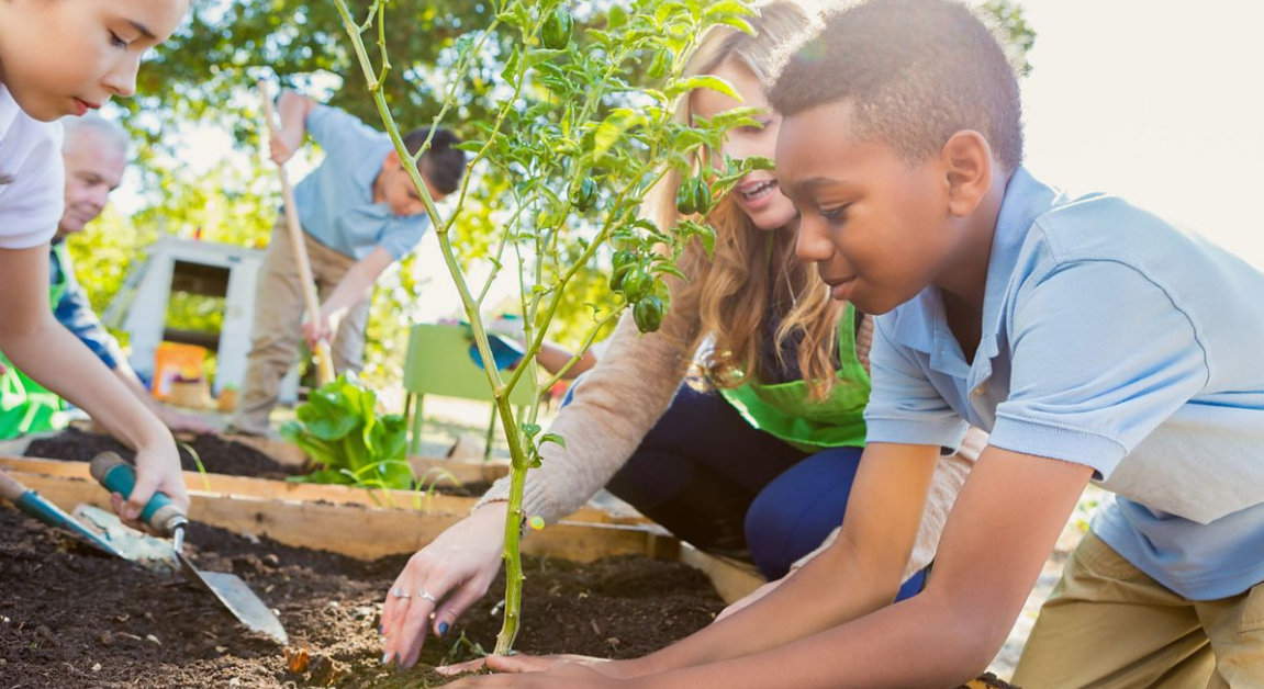 Fairview Gardens Education Farm